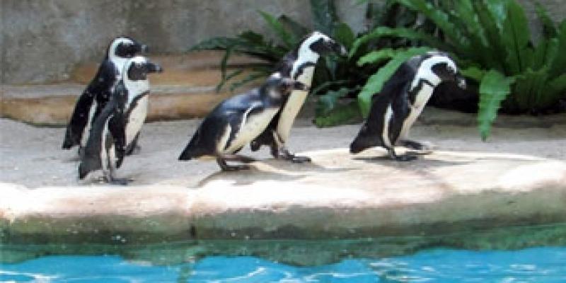 Paket Wisata One Day